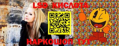гидра Заводоуковск