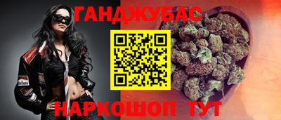 гидра Заводоуковск