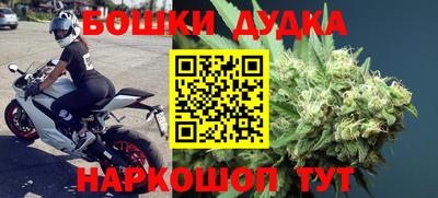 гидра Заводоуковск