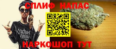 гидра Заводоуковск