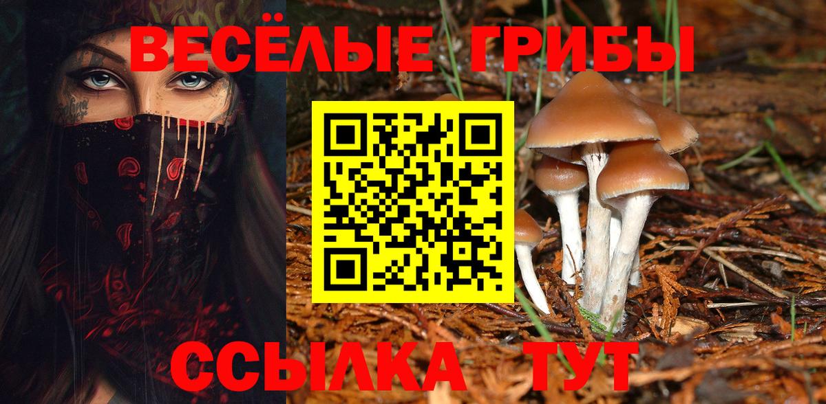 Майкоп  Псилоцибиновые грибы мухоморы  Вход с VPN  Галлюциногенные грибы MAGIC MUSHROOMS 