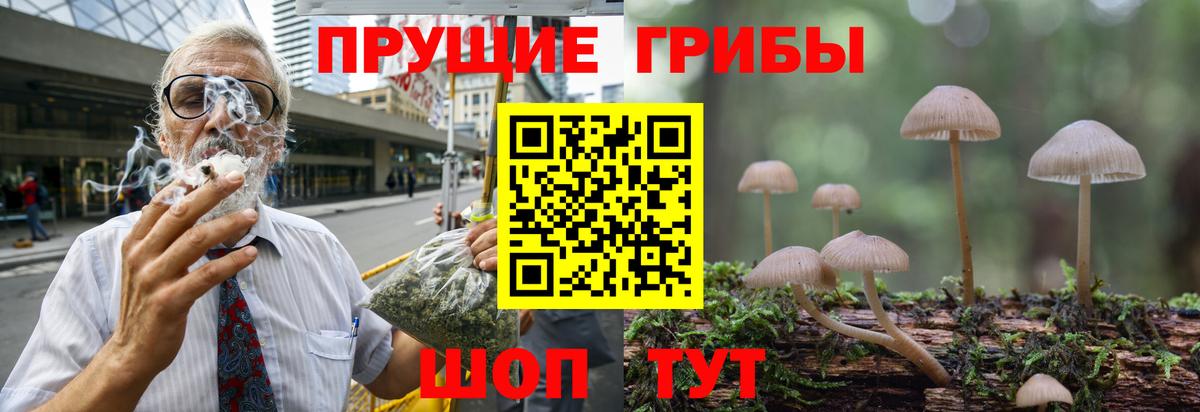 Амфетамин кристаллы  Майкоп  Марихуана  Гашиш  ЭКСТАЗИ  Alpha PVP СК кристаллы  Гашиш  Кокаин  Мефедрон кристаллы  Вход с VPN 