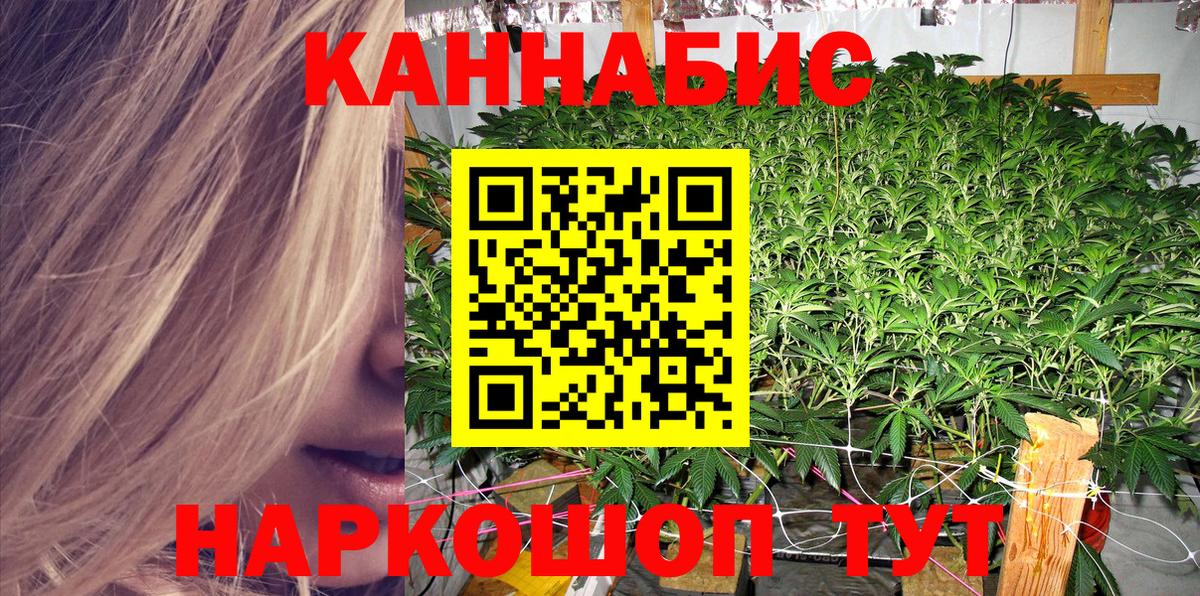 Канабис гибрид  Каннабис White Widow  Майкоп  Бошки марихуана Bruce Banner  Бошки марихуана план  Вход с VPN 